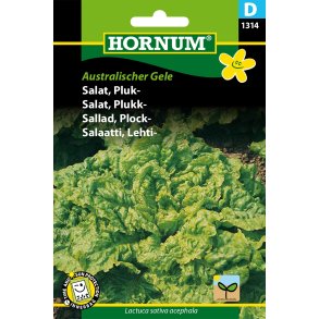 Hornum Salat, Pluk-, Australischer Gele