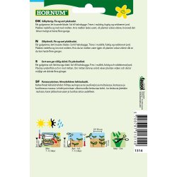 Hornum Salat, Pluk-, Australischer Gele