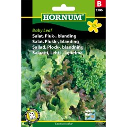 Hornum - Salat, Pluk-, blanding, Baby Leaf