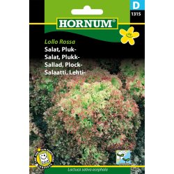 Hornum - Salat, Pluk-, Lollo Rossa