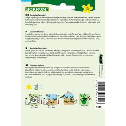 Hornum - Salat, Pluk-, Lollo Rossa