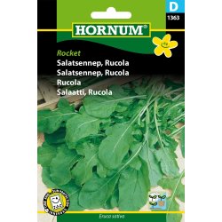 Hornum Salatsennep, Rucola, Rocket
