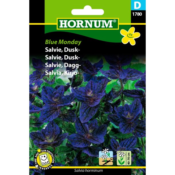 Hornum Salvie, Dusk-
