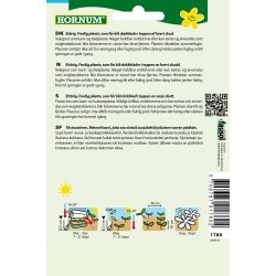 Hornum Salvie, Dusk-