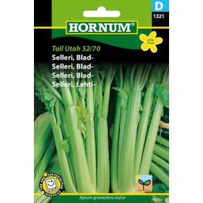 Hornum Selleri, Blad-, Tall Utah 52/70