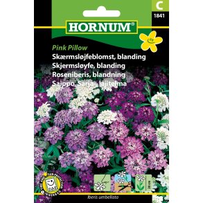 Hornum Skrmsljfeblomst, bl., Pink Pillow