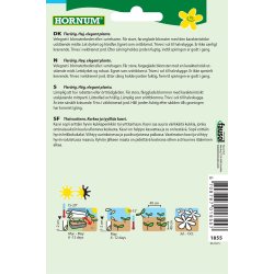 Hornum Solhat, blanding, Great Sunny Mix