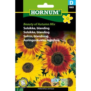 Hornum Solsikke, bl., Beauty of Autumn Mix