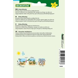 Hornum Solsikke, bl., Beauty of Autumn Mix