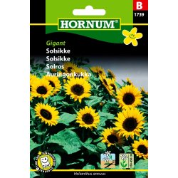 Hornum - Solsikke, Gigant