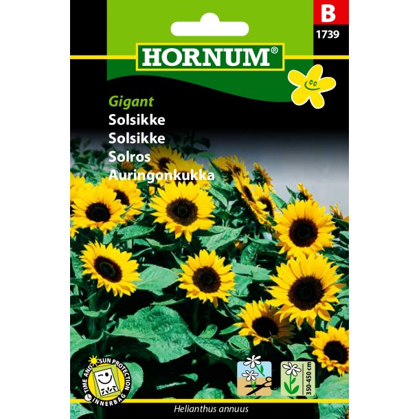 Hornum - Solsikke, Gigant