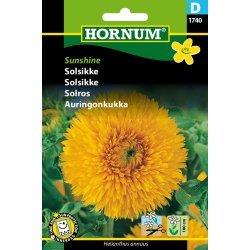 Hornum Solsikke, Sunshine
