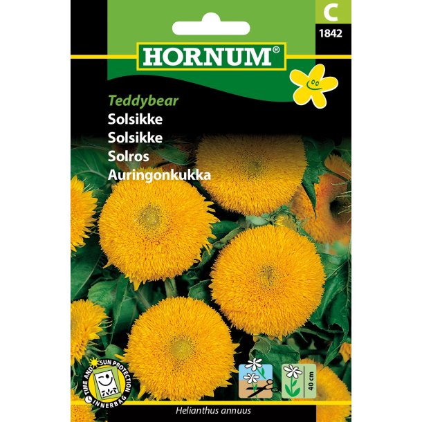 Hornum Solsikke, Teddybear