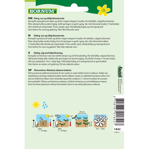 Hornum Solsikke, Teddybear