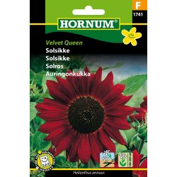 Hornum Solsikke, Velvet Queen