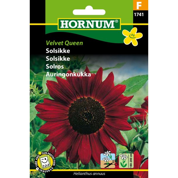 Hornum Solsikke, Velvet Queen