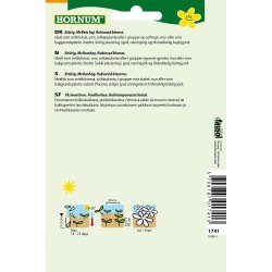 Hornum Solsikke, Velvet Queen