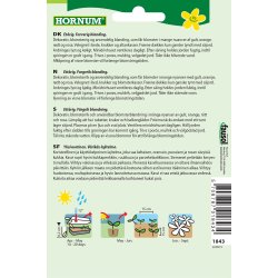 Hornum Sommerfugleblomst, bl., Carnival Mix