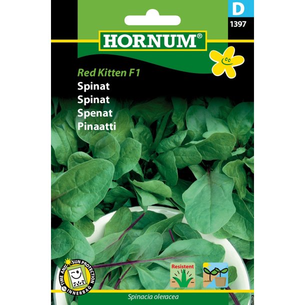 Hornum Spinat, Red Kitten F1