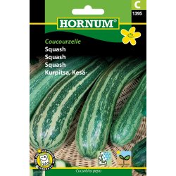 Hornum Squash, Coucourzelle