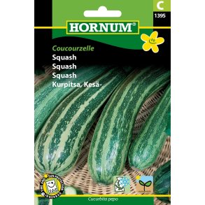 Hornum Squash, Coucourzelle