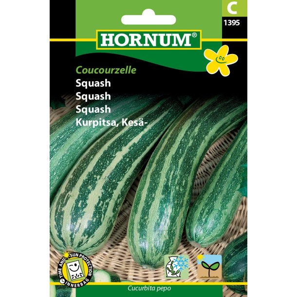 Hornum Squash, Coucourzelle