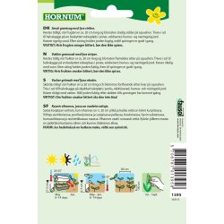 Hornum Squash, Coucourzelle