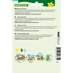 Hornum Squash, Gold Rush F1