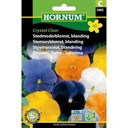 Hornum Stedmoderblomst, bl., Crystal Clear