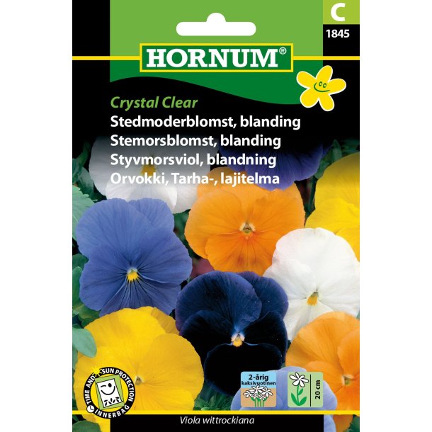 Hornum Stedmoderblomst, bl., Crystal Clear