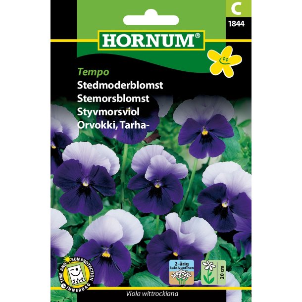 Hornum Stedmoderblomst, Tempo