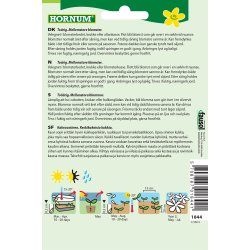 Hornum Stedmoderblomst, Tempo