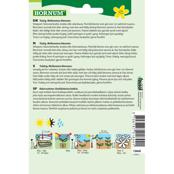 Hornum Stedmoderblomst, Tempo