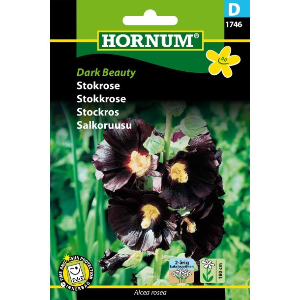 Hornum Stokrose, Dark Beauty