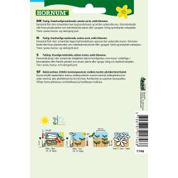 Hornum Stokrose, Dark Beauty