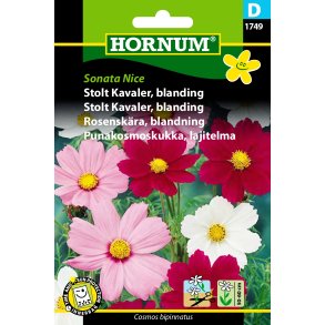 Hornum Stolt Kavaler, blanding, Sonata Nice