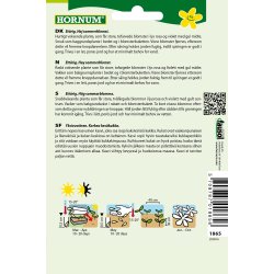 Hornum Stolt Kavaler, Candy Stripes