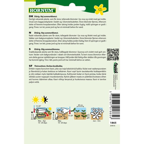 Hornum Stolt Kavaler, Candy Stripes