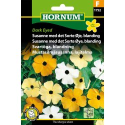 Hornum Susanne m.d. Sorte je, Dark Eyed
