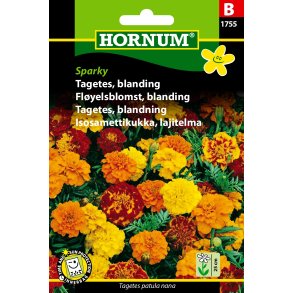 Hornum Tagetes, blanding, Sparky