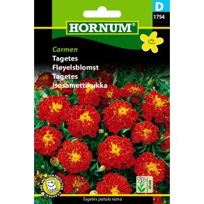 Hornum Tagetes, Carmen