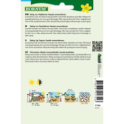 Hornum Tagetes, Carmen