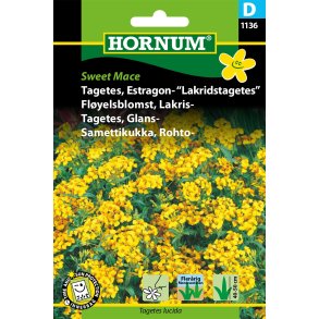Hornum Tagetes, Estragon- Lakridstagetes