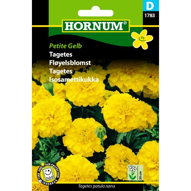Hornum Tagetes, Petite Gelb