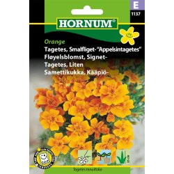 Hornum Tagetes, Smalfliget- Appelsintag.