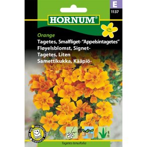 Hornum Tagetes, Smalfliget- Appelsintag.