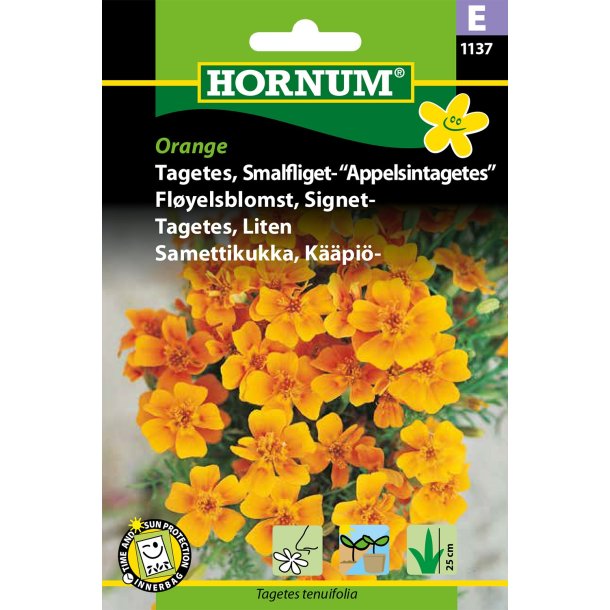 Hornum Tagetes, Smalfliget- Appelsintag.
