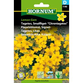 Hornum Tagetes, Smalfliget- Citrontagetes