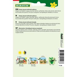 Hornum Timian, Di Roma