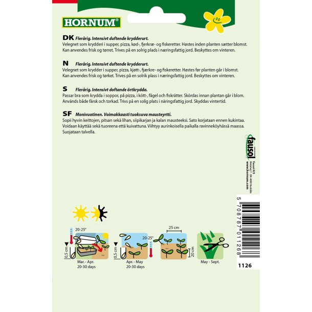 Hornum Timian, Di Roma